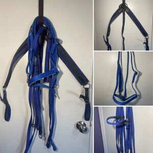 Blue Nylon Combo - Headstall, Reins, Tie Down, Breast Collar